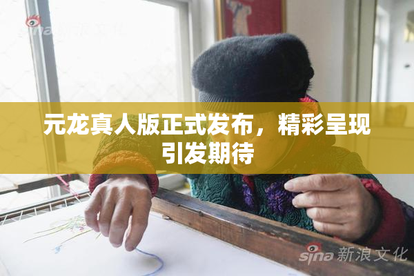 元龙真人版正式发布，精彩呈现引发期待