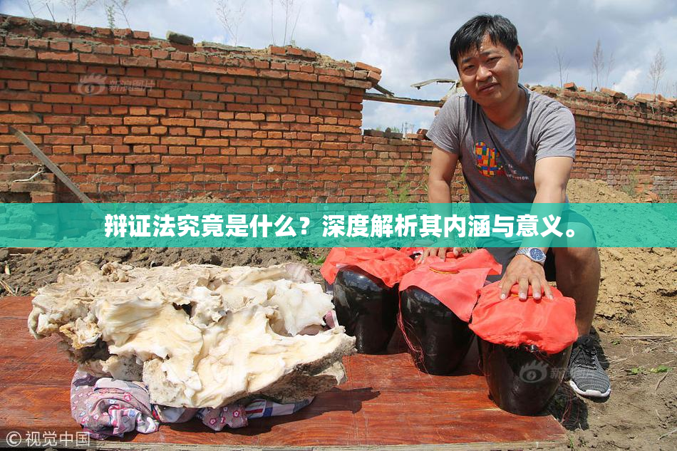 辩证法究竟是什么？深度解析其内涵与意义。