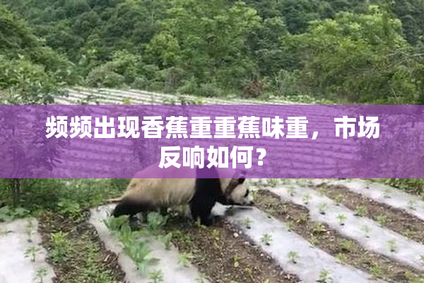 频频出现香蕉重重蕉味重，市场反响如何？