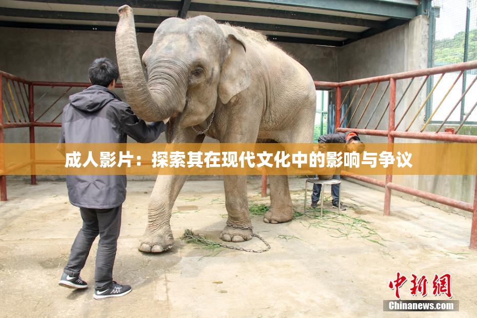 成人影片：探索其在现代文化中的影响与争议