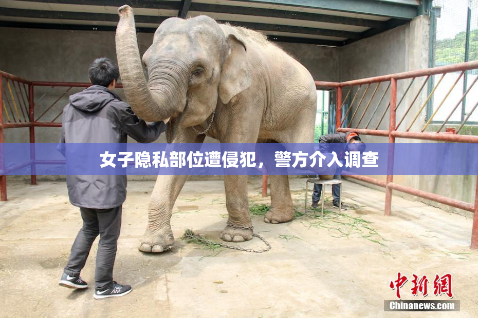 女子隐私部位遭侵犯，警方介入调查