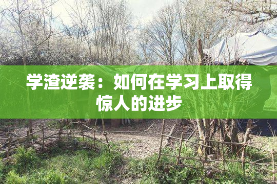 学渣逆袭：如何在学习上取得惊人的进步