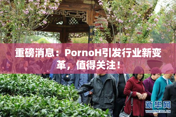 重磅消息：PornoH引发行业新变革，值得关注！