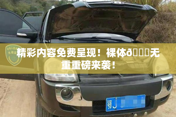 精彩内容免费呈现！裸体🔞无重重磅来袭！