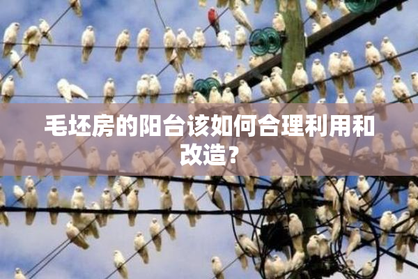 毛坯房的阳台该如何合理利用和改造？
