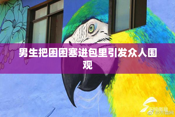 男生把困困塞进包里引发众人围观