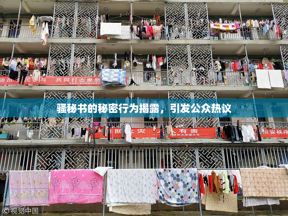 骚秘书的秘密行为揭露，引发公众热议