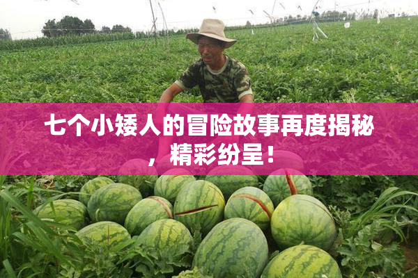 七个小矮人的冒险故事再度揭秘，精彩纷呈！