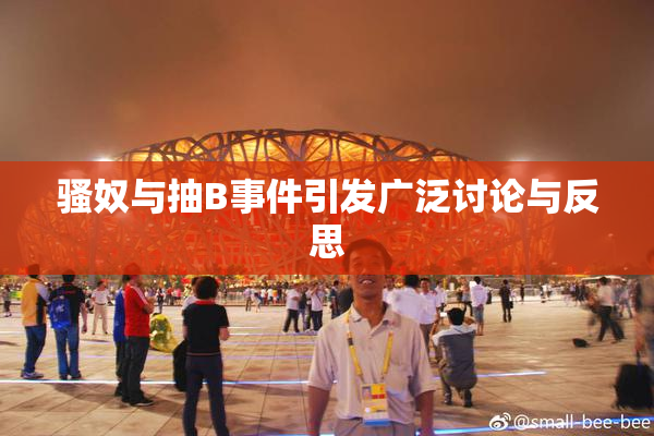 骚奴与抽B事件引发广泛讨论与反思