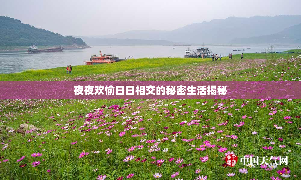 夜夜欢愉日日相交的秘密生活揭秘