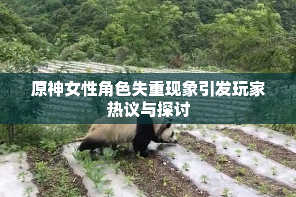 原神女性角色失重现象引发玩家热议与探讨