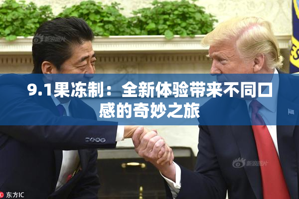 9.1果冻制：全新体验带来不同口感的奇妙之旅