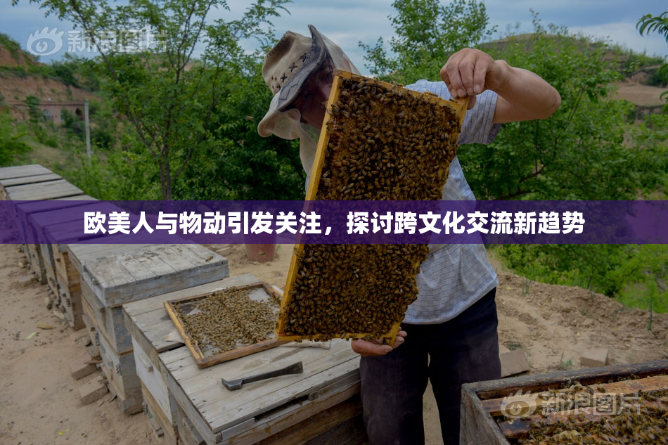 欧美人与物动引发关注，探讨跨文化交流新趋势