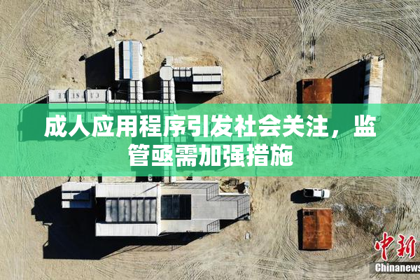 成人应用程序引发社会关注，监管亟需加强措施