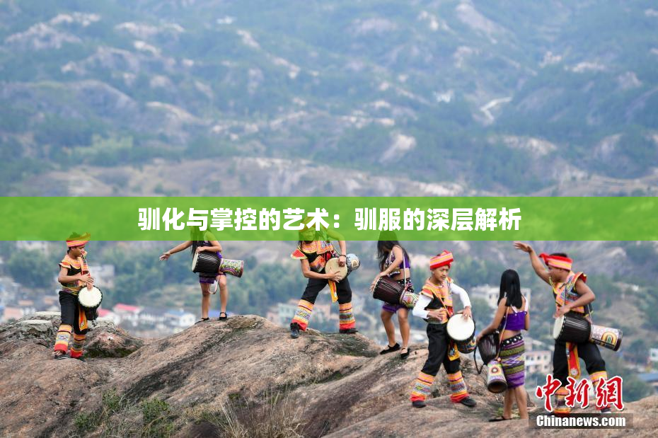 驯化与掌控的艺术：驯服的深层解析