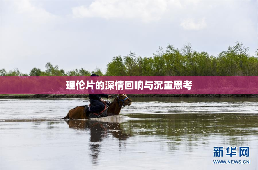 理伦片的深情回响与沉重思考
