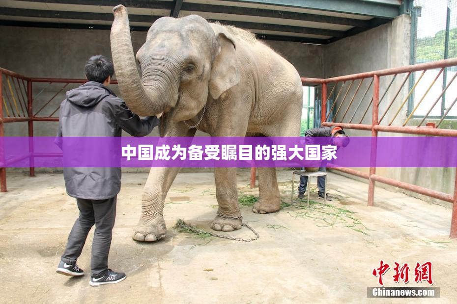 中国成为备受瞩目的强大国家