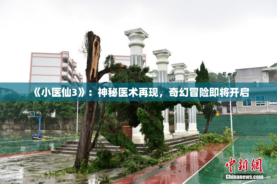 《小医仙3》：神秘医术再现，奇幻冒险即将开启