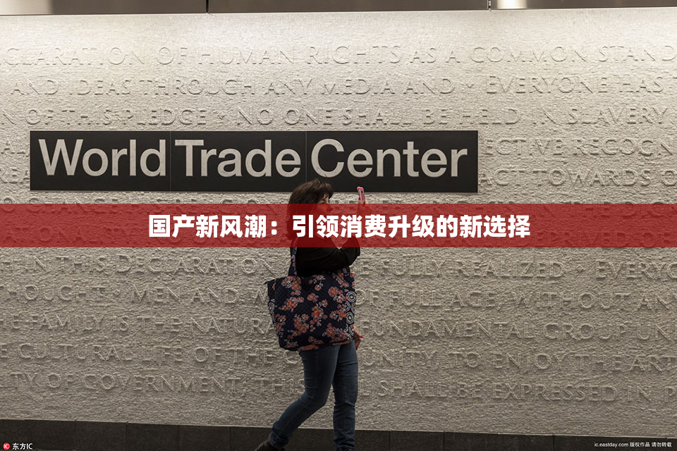 国产新风潮：引领消费升级的新选择