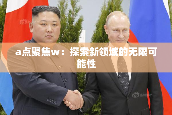 a点聚焦w：探索新领域的无限可能性