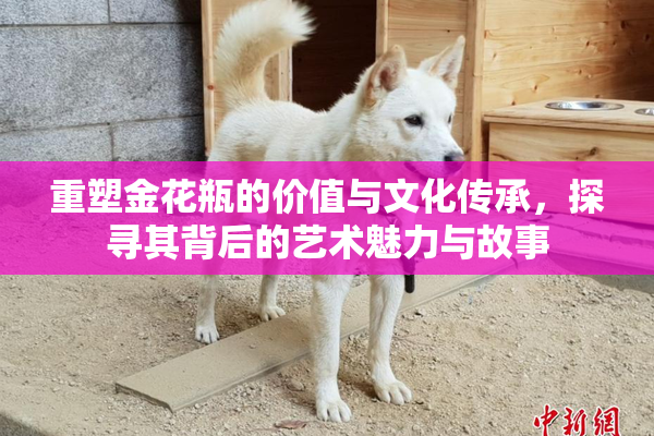 重塑金花瓶的价值与文化传承，探寻其背后的艺术魅力与故事