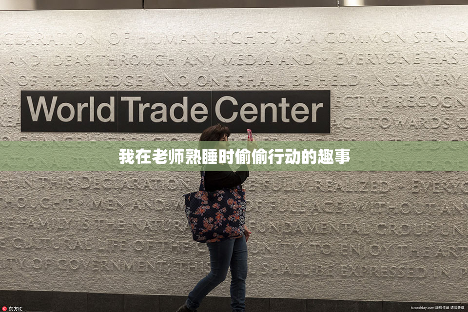 我在老师熟睡时偷偷行动的趣事
