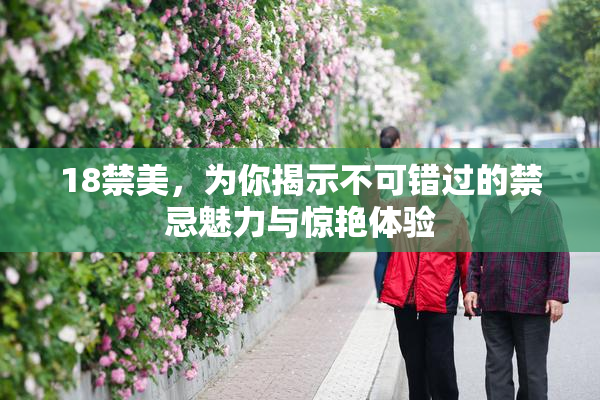 18禁美，为你揭示不可错过的禁忌魅力与惊艳体验