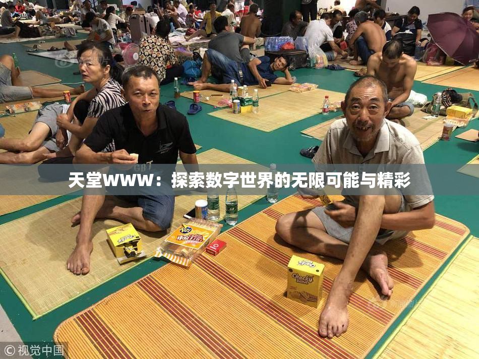 天堂WWW：探索数字世界的无限可能与精彩