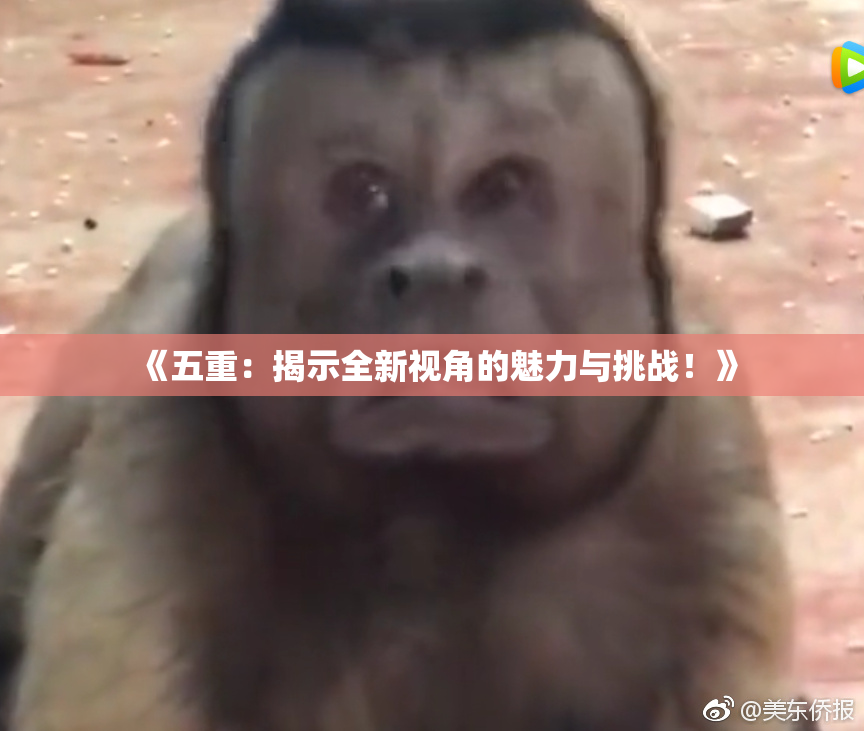 《五重：揭示全新视角的魅力与挑战！》