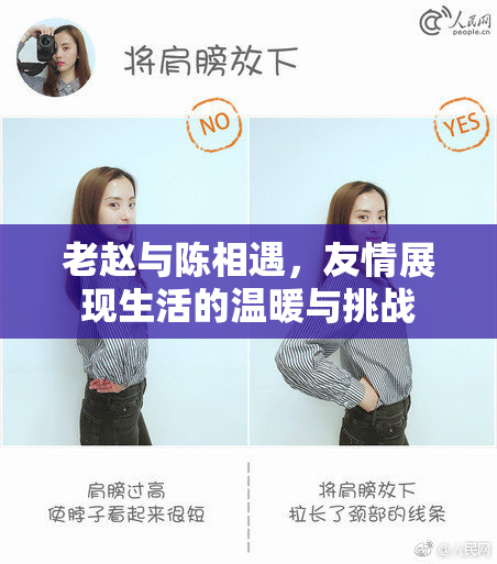 老赵与陈相遇，友情展现生活的温暖与挑战
