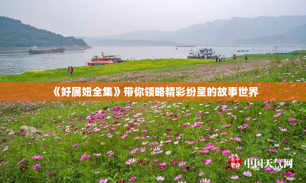 《好属妞全集》带你领略精彩纷呈的故事世界
