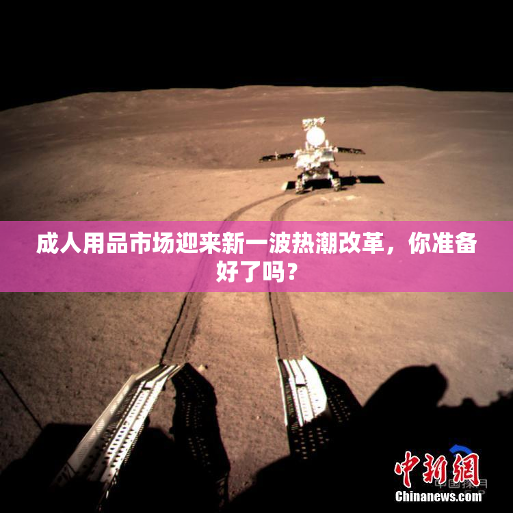 成人用品市场迎来新一波热潮改革，你准备好了吗？
