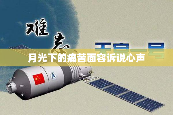 月光下的痛苦面容诉说心声