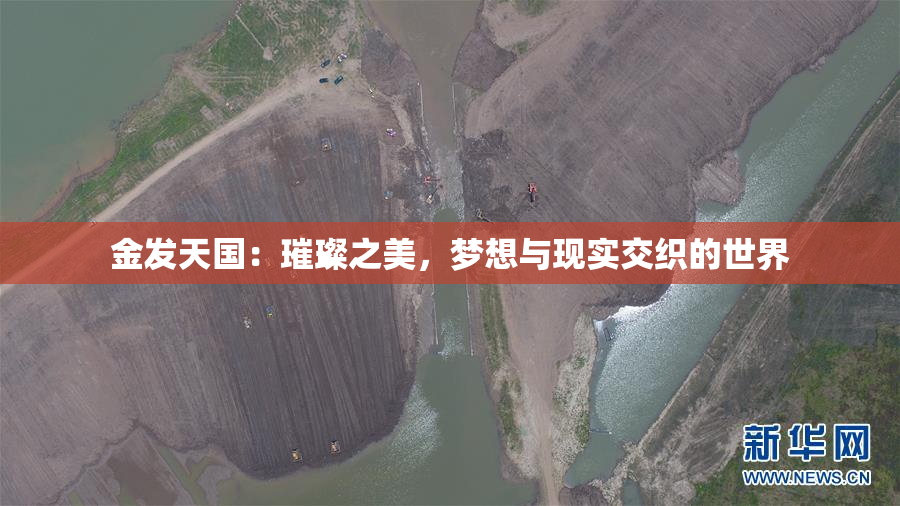 金发天国：璀璨之美，梦想与现实交织的世界