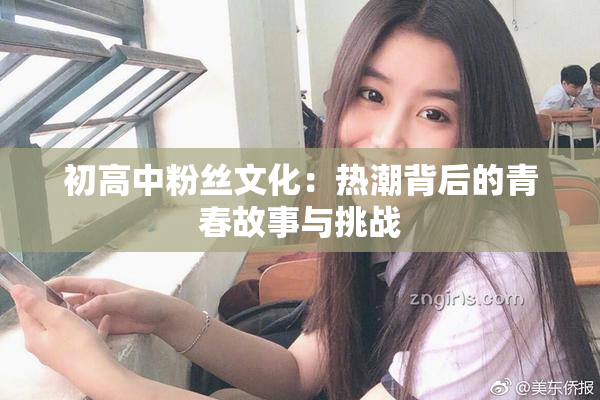 初高中粉丝文化：热潮背后的青春故事与挑战