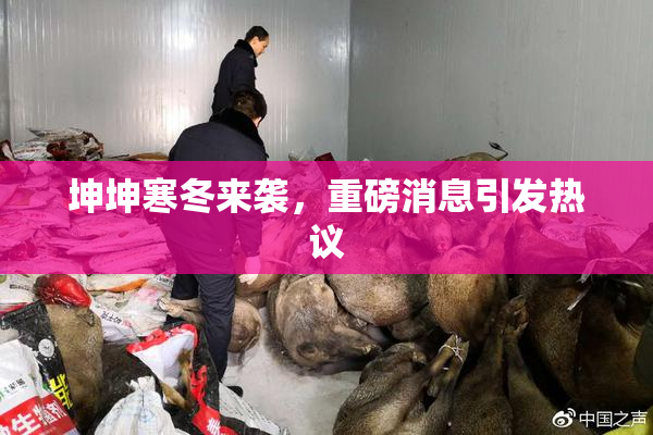 坤坤寒冬来袭，重磅消息引发热议
