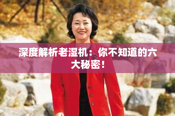 深度解析老湿机：你不知道的六大秘密！
