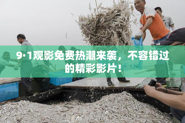 9·1观影免费热潮来袭，不容错过的精彩影片！