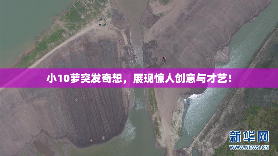 小10萝突发奇想，展现惊人创意与才艺！