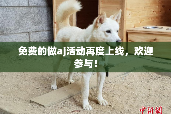 免费的做aj活动再度上线，欢迎参与！