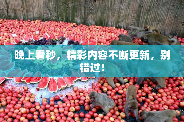 晚上看秒，精彩内容不断更新，别错过！