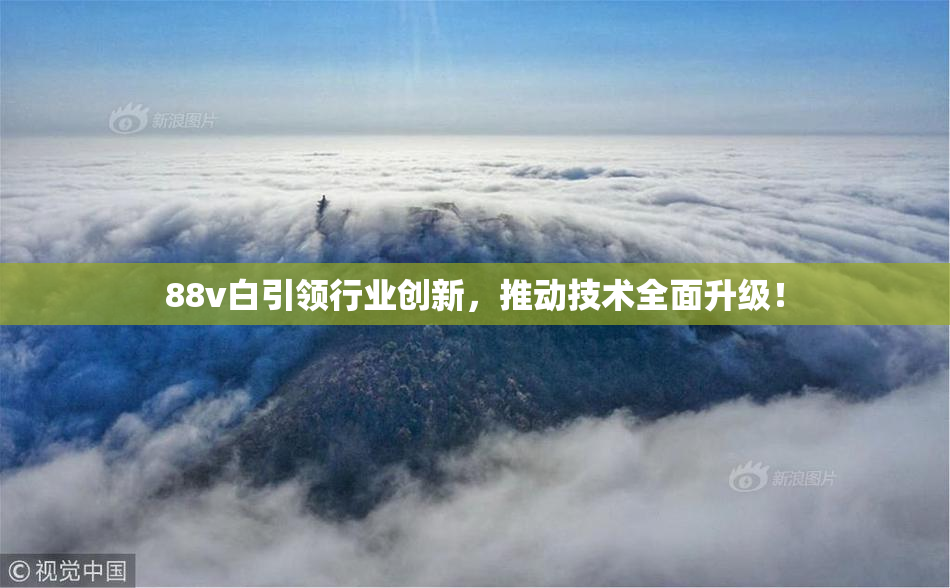 88v白引领行业创新，推动技术全面升级！