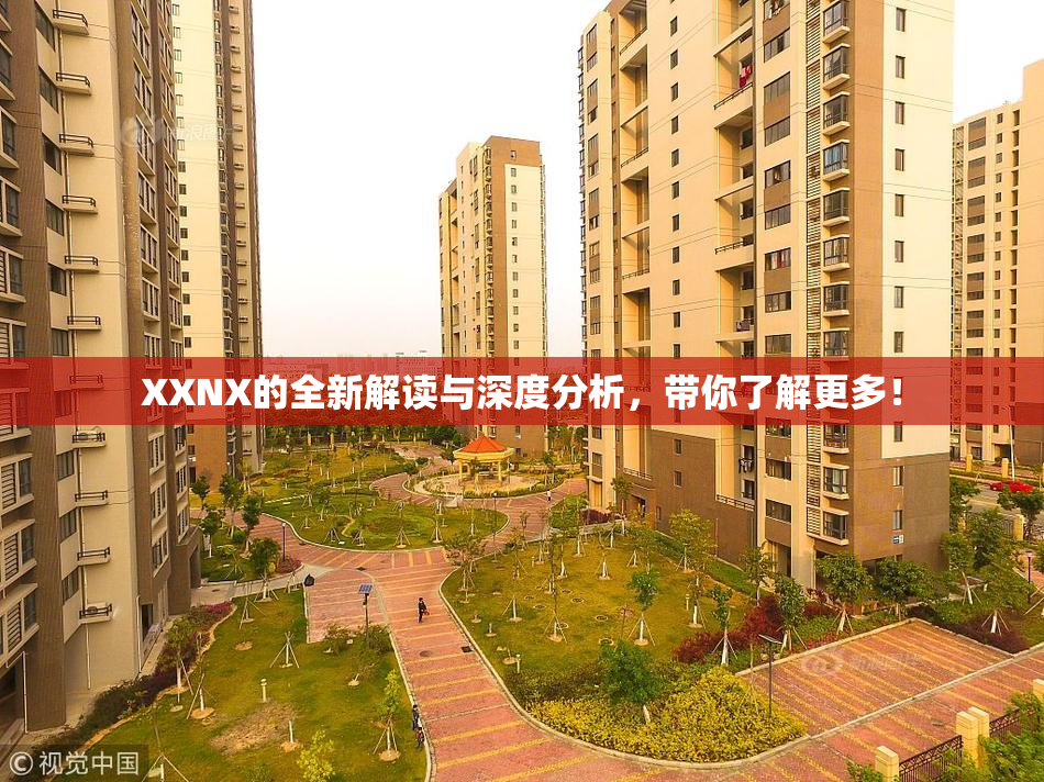 XXNX的全新解读与深度分析，带你了解更多！