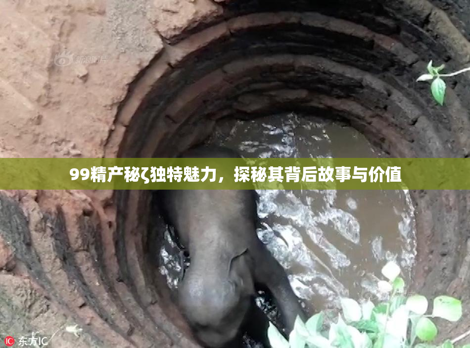 99精产秘ζ独特魅力，探秘其背后故事与价值