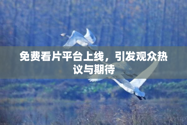 免费看片平台上线，引发观众热议与期待