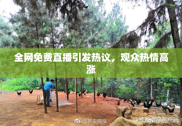 全网免费直播引发热议，观众热情高涨