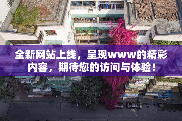 全新网站上线，呈现www的精彩内容，期待您的访问与体验！