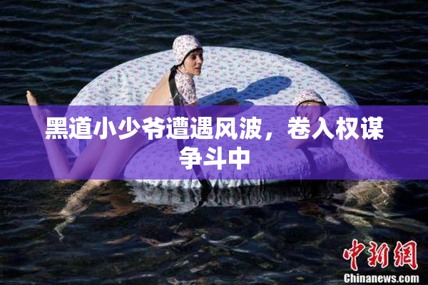 黑道小少爷遭遇风波，卷入权谋争斗中