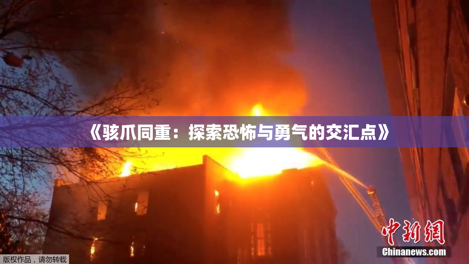 《骇爪同重：探索恐怖与勇气的交汇点》