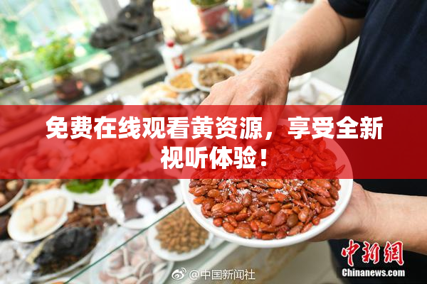 免费在线观看黄资源，享受全新视听体验！